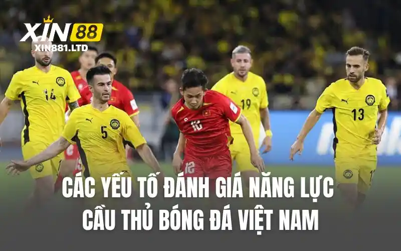 Các yếu tố đánh giá năng lực cầu thủ bóng đá Việt Nam