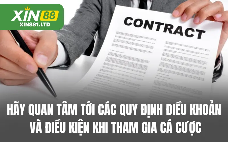 Hãy quan tâm tới các quy định điều khoản và điều kiện khi tham gia cá cược