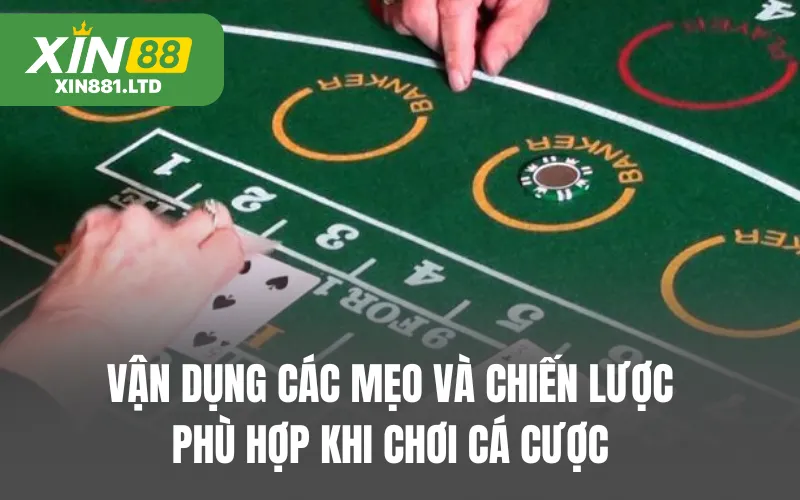 Vận dụng các mẹo và chiến lược cá cược phù hợp khi chơi cá cược